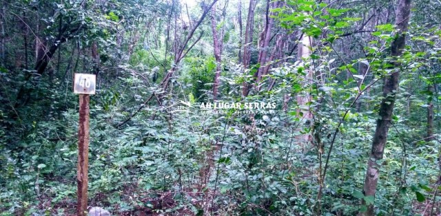 CHÁCARAS DE 5.000 MTS ÁREA URBANA - SERRA DO CIPÓ 